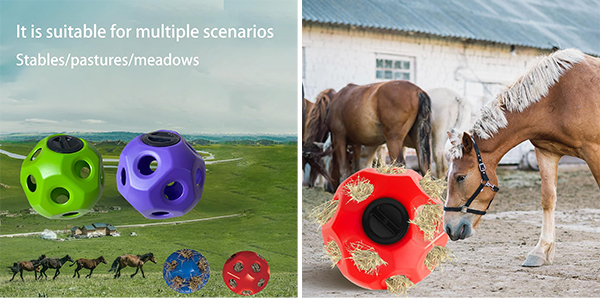 NL13803 Horse play ball