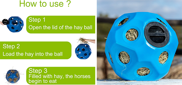 NL13803 Horse play ball