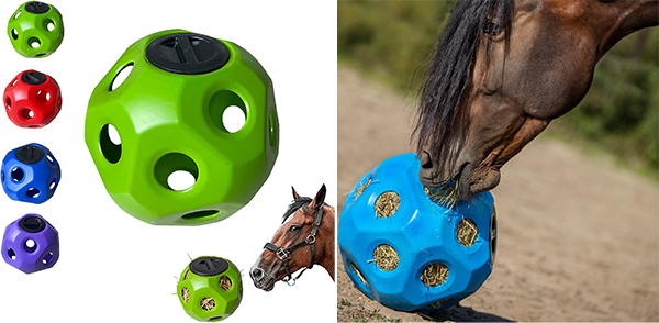 NL13803 Horse play ball