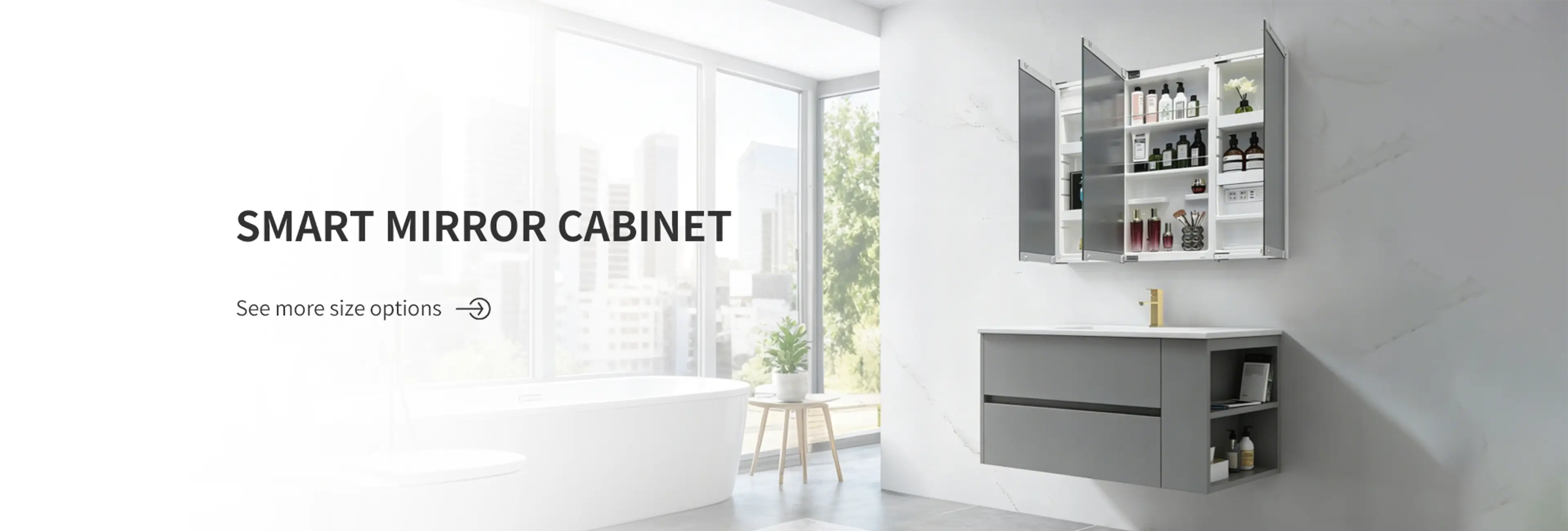 Bathroom Mirror Cabinet