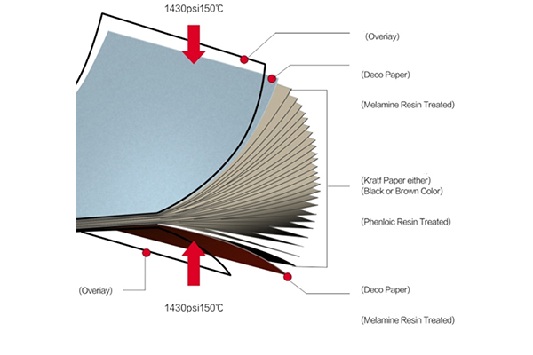 Melamine Decorative High Pressure Laminates