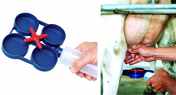 Animal Traps