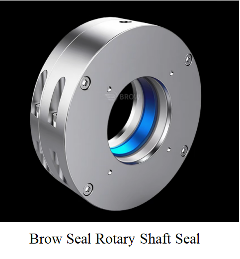 Rotary shaft seals blender