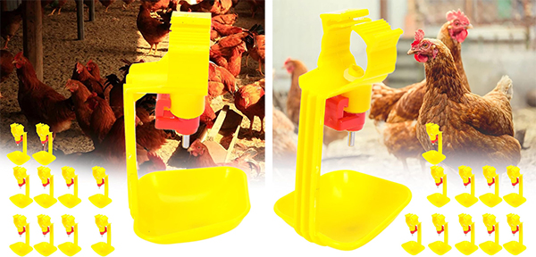Veterinary Equipments