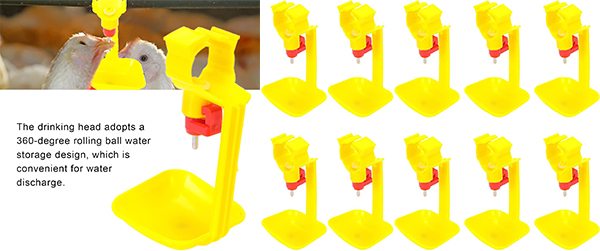 Veterinary Equipments