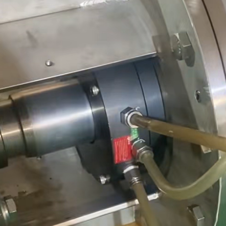 rotary shaft seal