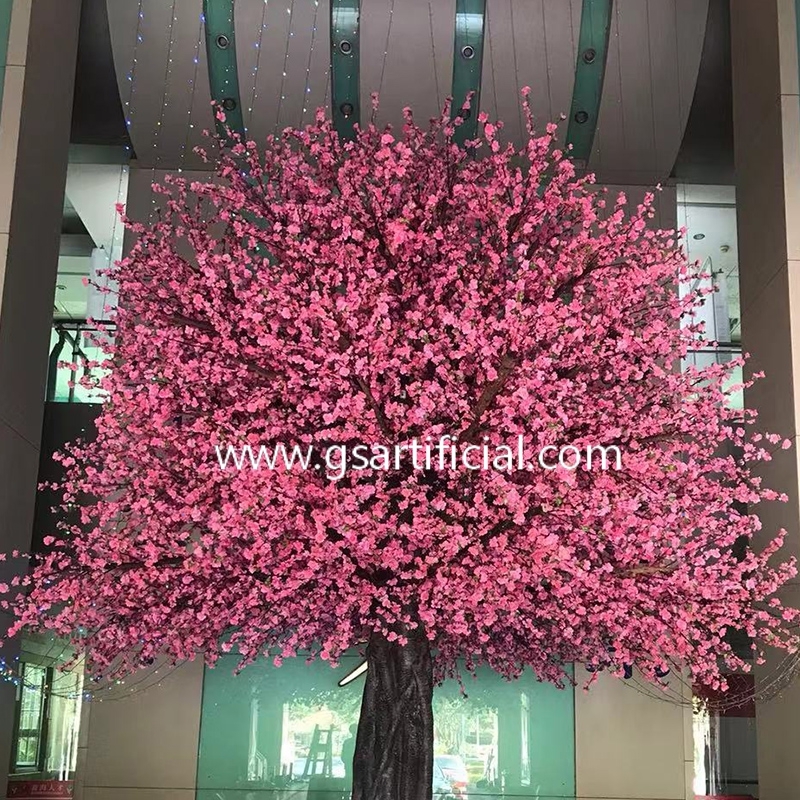 5m High Large Tree Pink Peach Blossom Tree