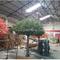 Artificial olive tree source artificial tree factory