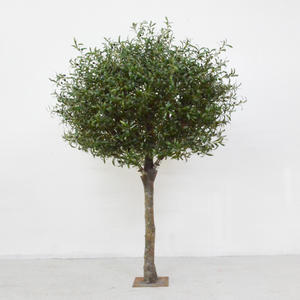 Künstlicher Olivenbaum. Beliebter künstlicher Baum mit grünen Blättern