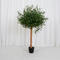 Indoor artificial olive tree artificial olive potted plant Topsale