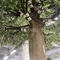 Artificial olive tree high-end artificial green leaf tree