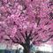 Artificial Peach blossom Tree interior outdoor Big trunk fiberglass