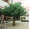 Artificial ficus tree customized size fake banyan tree