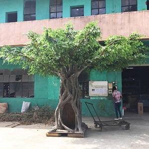 Nagy törzsű mesterséges banyan fa beltéri kültéri dekoratív hamis fához