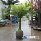 customized size small artificial palm tree for indoor decorations