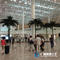 Airport decoration artificial palm tree fake coconut tree