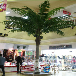 Mağaza dekorasiyası Süni kokos ağacı fiberglas plastik saxta palma ağacı