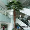 Washington Big artificial fan palm tree indoor decorations