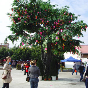 Nagykereskedelmi hatalmas mesterséges fikusz fa kívánó fa nagy fa üvegszálas törzs a templomkert díszítésére