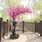 Artificial Peach blossom Tree flower tree wedding decoration restaurant decor