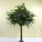 new product realistic artificial ficus tree decoration the factory price