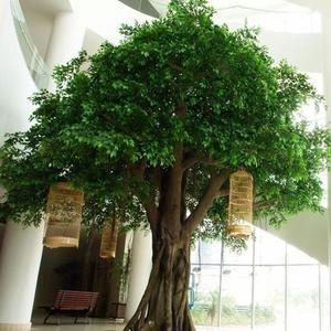 търговия на едро с изкуствено фикусово дърво фалшив ствол голямо фикусово дърво вътрешни и външни декорации