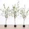 1.2 m and 1.8m  high quality artificial Olive bonsai plants for decoration
