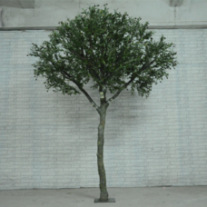 3 m højt tilpasseligt kunstigt oliventræ til landskabsindretning