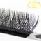 Newest Vluxe Lashes