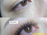 Grafting of vluxe lashes