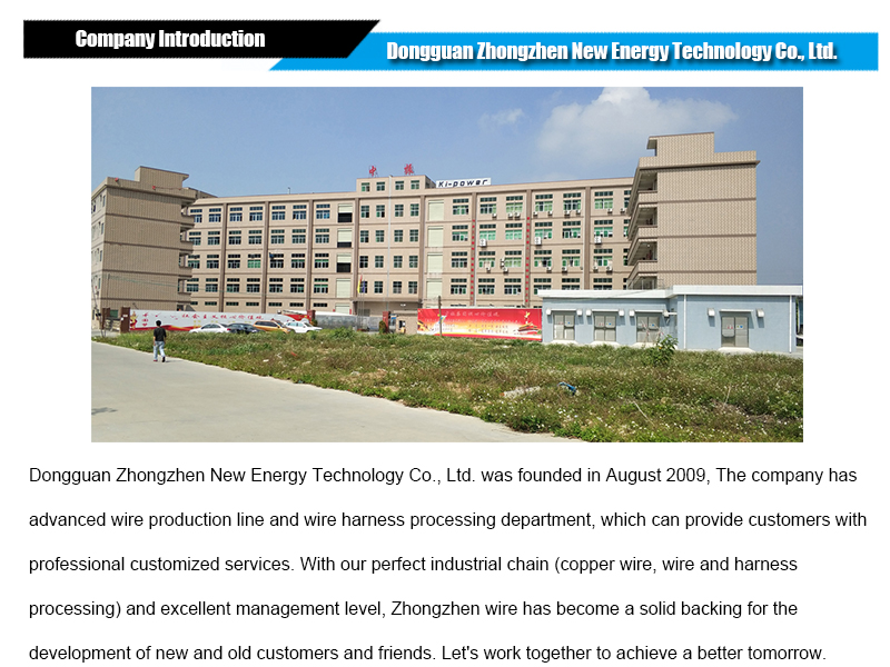 ZHONGZHEN NEW ENERGY Factory