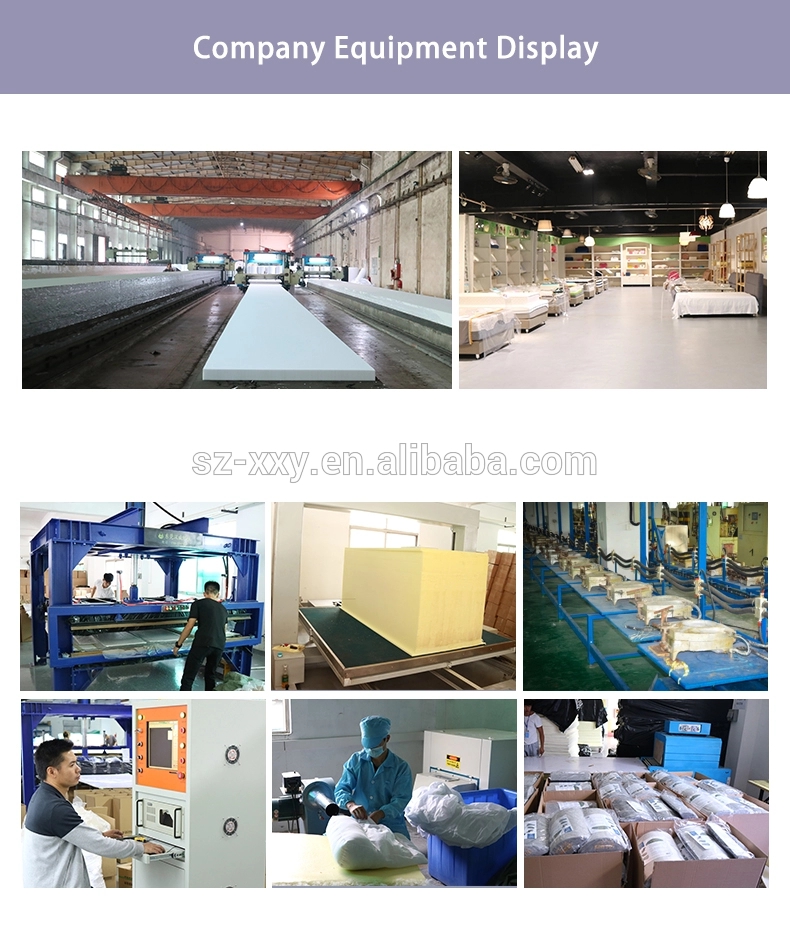 Η XXY είναι ένας κατασκευαστής και προμηθευτής οικιακών επίπλων μεγάλης κλίμακας αφρού στην Κίνα. Ειδικευόμαστε στο φορητό πτυσσόμενο στρώμα κάμπινγκ σε τσάντα με αφαιρούμενο και πλενόμενο κάλυμμα για 12 χρόνια. Τα προϊόντα μας έχουν καλό πλεονέκτημα τιμής και καλύπτουν το μεγαλύτερο μέρος της Ευρώπης και τις αμερικανικές αγορές. Ανυπομονούμε να γίνουμε ο μακροπρόθεσμος συνεργάτης σας στην Κίνα.