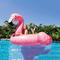 Mega Flamingo and Swan Inflatable Pool Island Float