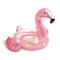 Glitter Flamingo Tube inflatables