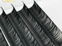 Meteor lashes factory har specialiseret sig i eyelash extensions produkter