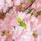 Cherry Blossom Tree Wedding Decoration