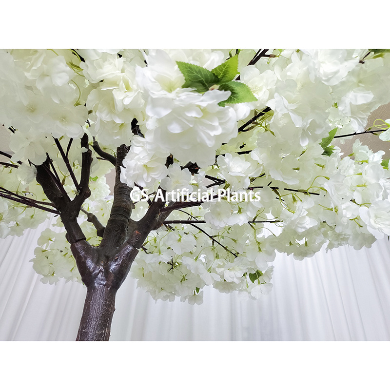  5ft Cherry Blossom Laau 