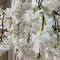 Artificial white cherry blossom tree