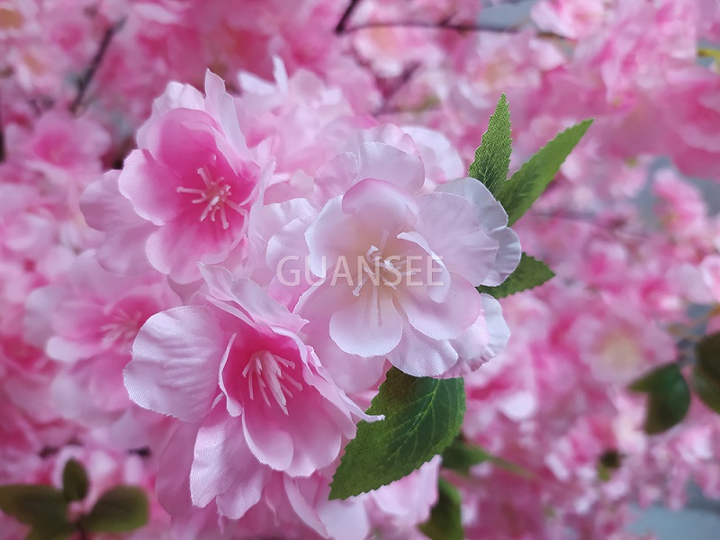 Pink Flowers Blossom Sakura Tree