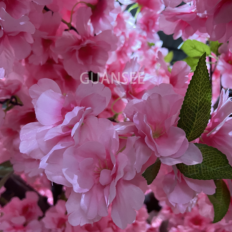 cherry blossom tree 