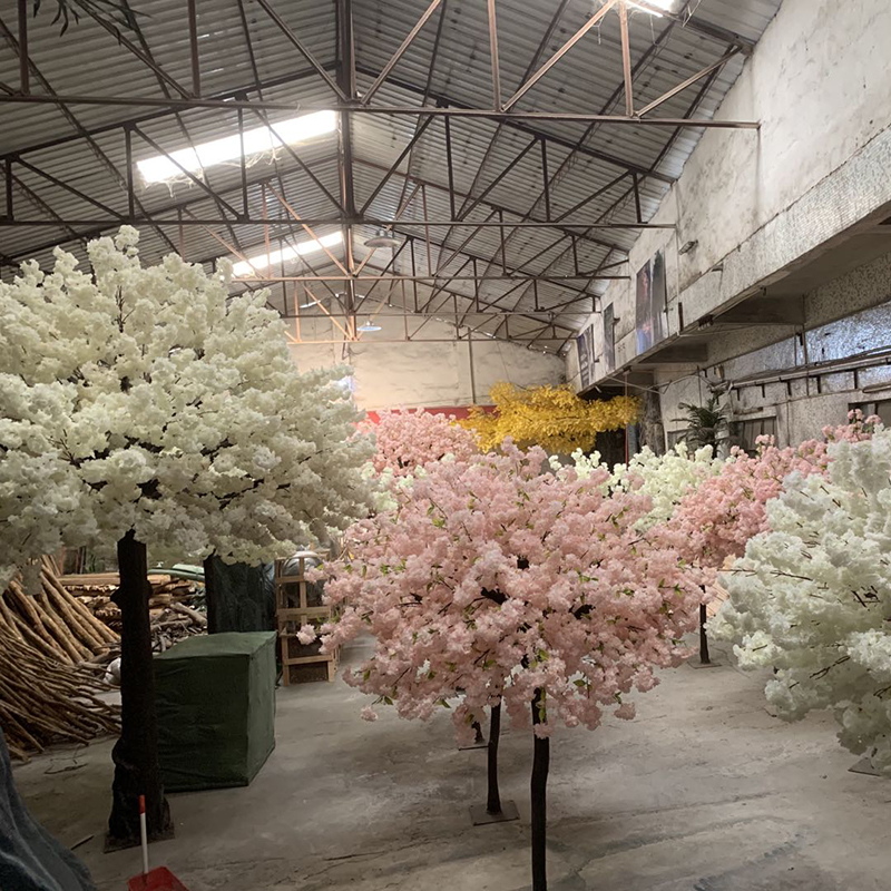  Laau Cherry Blossom no ka hale hōkele o loko 