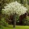 Hot sale  high workmanship  Artificial White Cherry Blossom Flower Tree for decoration