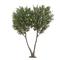 3.5m high artificial olive tree green leaves customized faux tree Outdoor Indoor Decor