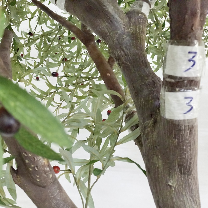  3.5m hege keunstmjittige olivebeam griene blêden oanpaste faux tree Outdoor Binnendekor 