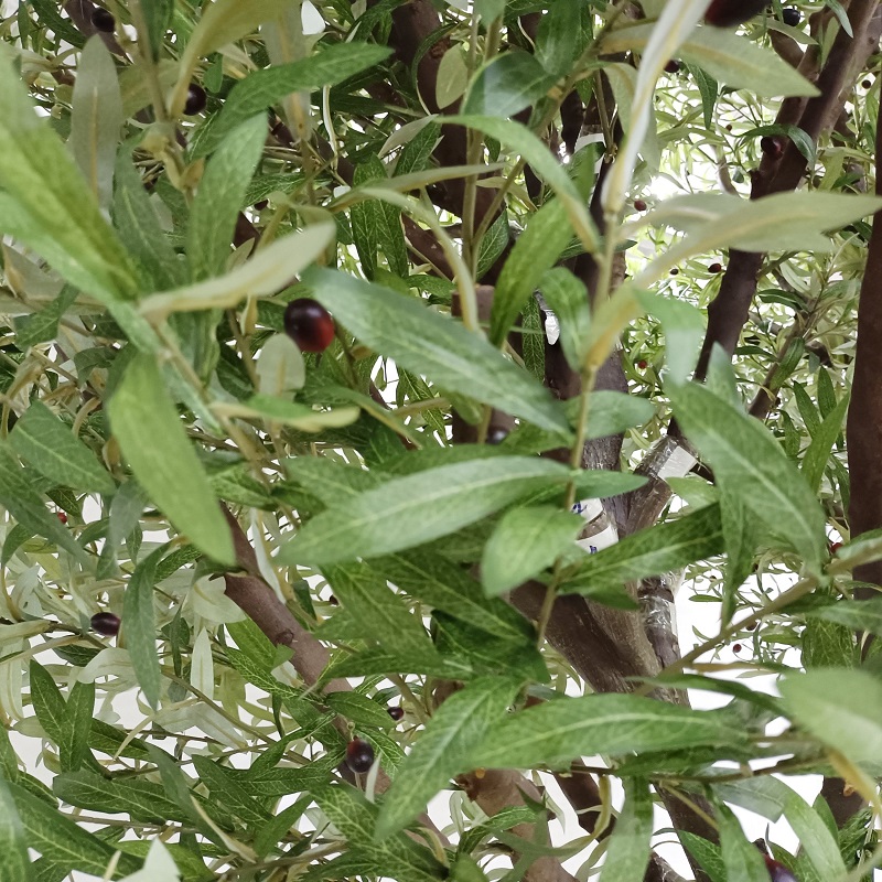  3.5m hege keunstmjittige olivebeam griene blêden oanpaste faux tree Outdoor Binnendekor 