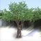 Artificial large olive tree for outdoor decoration