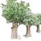 Artificial large olive tree for outdoor decoration