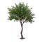 Artificial plastic olive tree for bonsai decoration