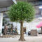Indoor home and garden artificial plant olive tree