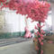 Arch artificial Cherry Blossom tree
